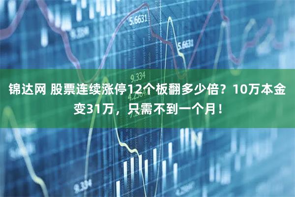 锦达网 股票连续涨停12个板翻多少倍？10万本金变31万，只需不到一个月！