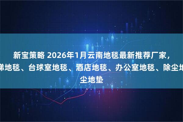 新宝策略 2026年1月云南地毯最新推荐厂家，电梯地毯、台球室地毯、酒店地毯、办公室地毯、除尘地垫