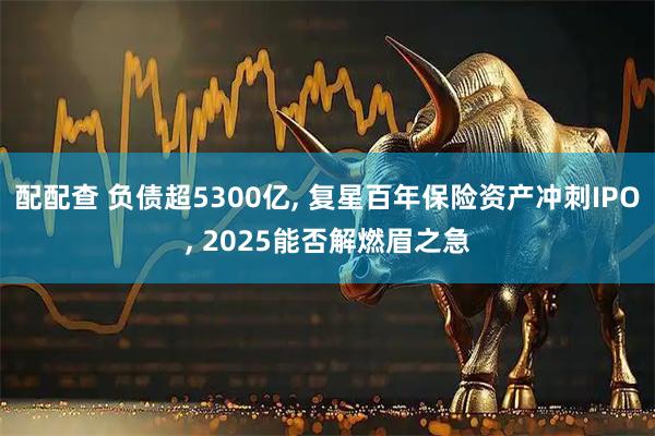 配配查 负债超5300亿, 复星百年保险资产冲刺IPO, 2025能否解燃眉之急