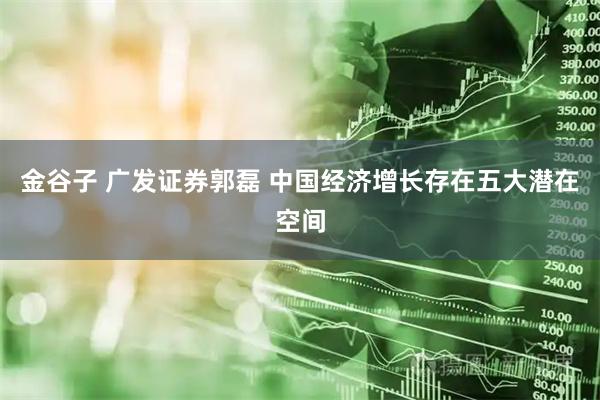 金谷子 广发证券郭磊 中国经济增长存在五大潜在空间
