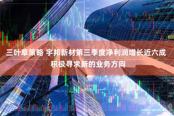 三叶草策略 宇邦新材第三季度净利润增长近六成  积极寻求新的业务方向